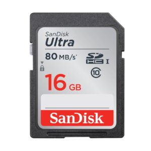 Sandisk 16GB SD Class-10 Memory Card