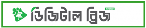 digital bridge
