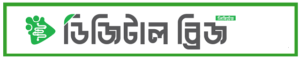 digital bridge