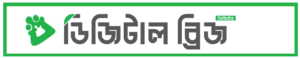 Digital Bridge
