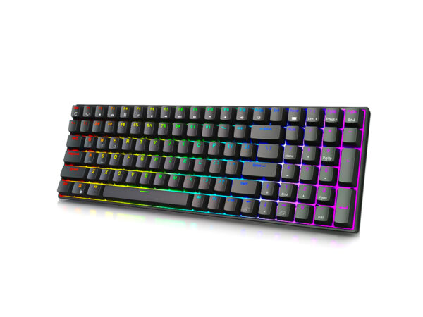 ROYAL KLUDGE RK100 RGB Wireless Mechanical Keyboard